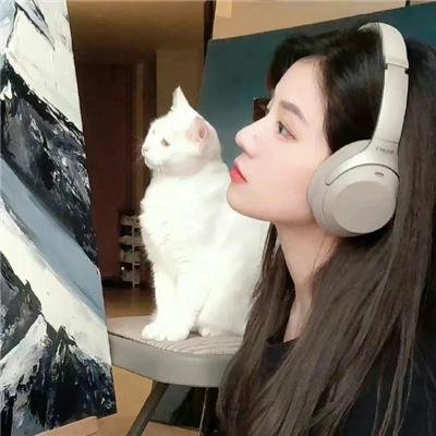 读心人第二季